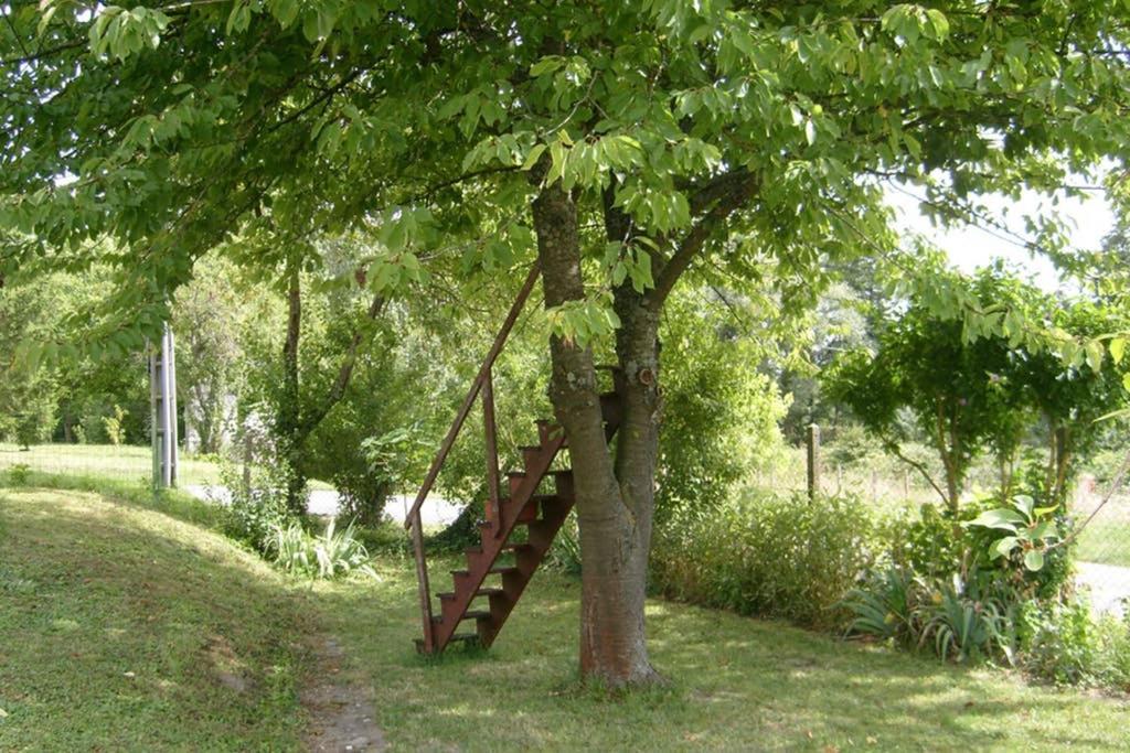 Petite Maison Au Bord Du Canal, 8' Zoo De Beauval, Pmr Noyers-sur-Cher Eksteriør billede
