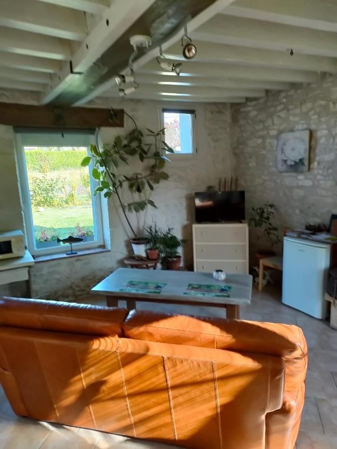 Petite Maison Au Bord Du Canal, 8' Zoo De Beauval, Pmr Noyers-sur-Cher Eksteriør billede